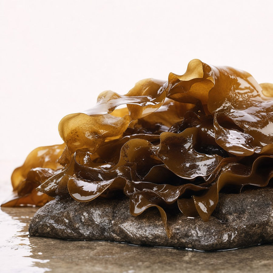 Sea kelp alginate