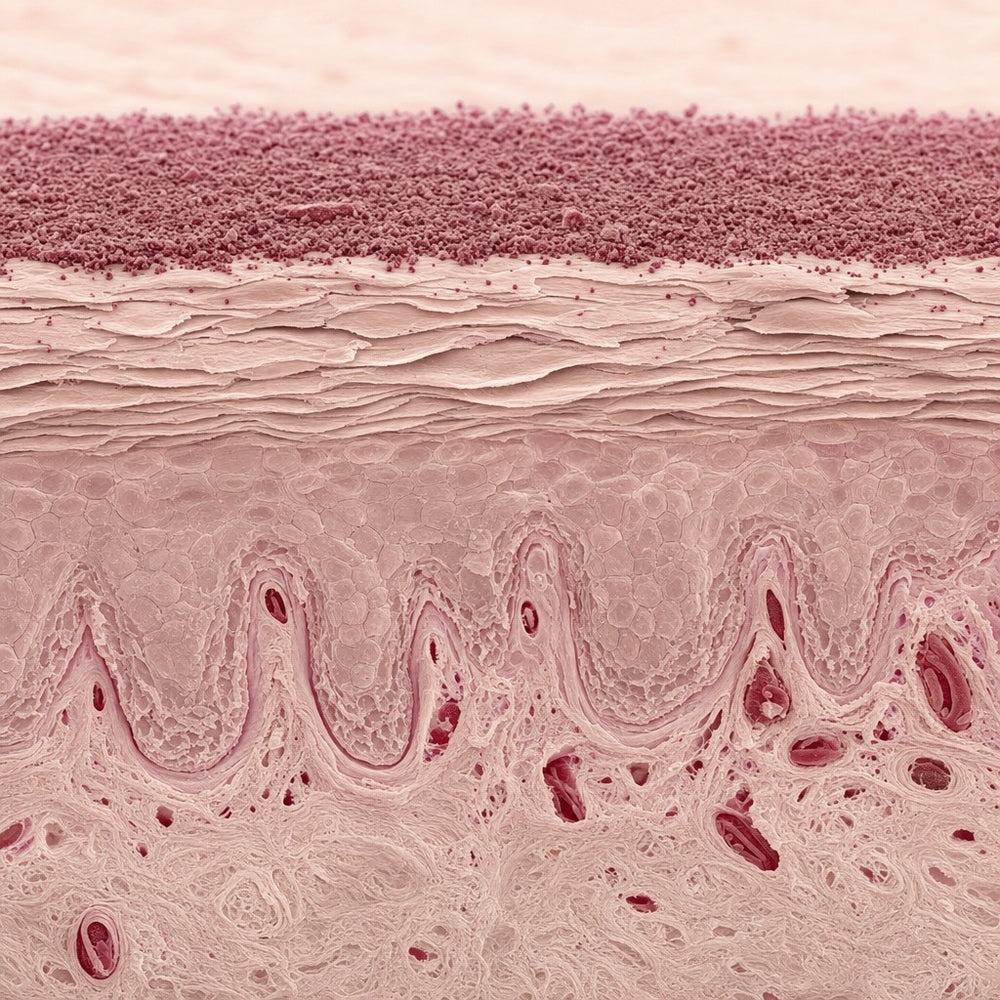 One Thin, <em>Sheer</em> Layer.